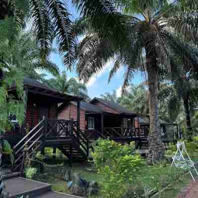 Perfect Forest Eco-Resort Rooms