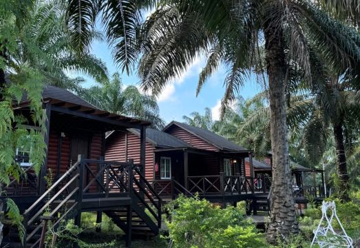 Perfect Forest Eco-Resort 야외 정원