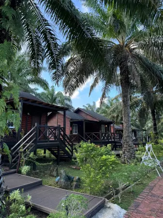 Perfect Forest Eco-Resort