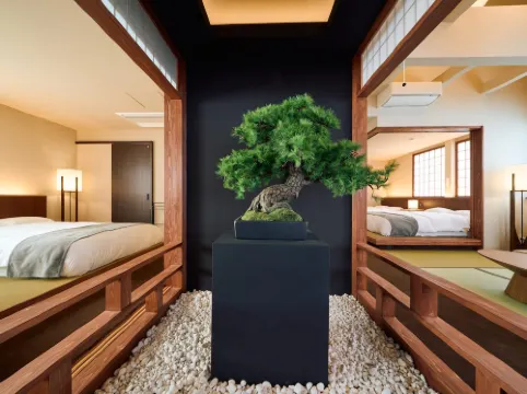 KONJAKUSO Osaka Tempozan "SHOHAKU" Pine Tree