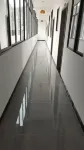 Elegant Hostel - Pet friendly