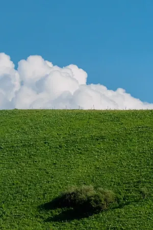 INWARD PEAK·Heting Shanying ValleVive Holiday Homestay  (Hemu Old Village Store)