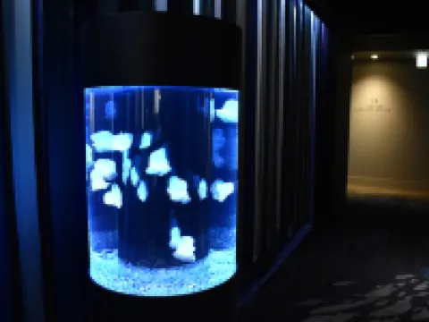 ホテル ユニバーサル ポート 大阪のホテル