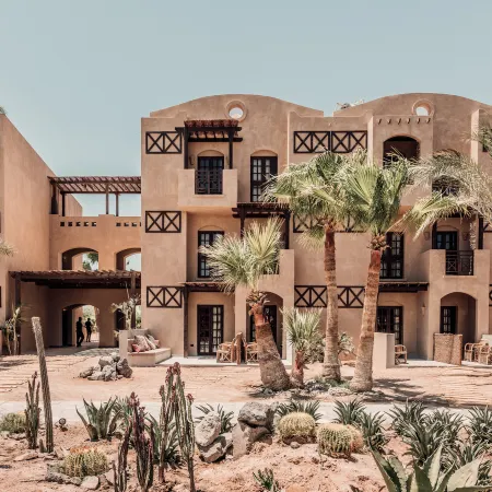 Cook's Club El Gouna