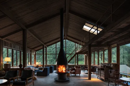 Under the Tree · Art Hot Spring Homestay - Hot Springs