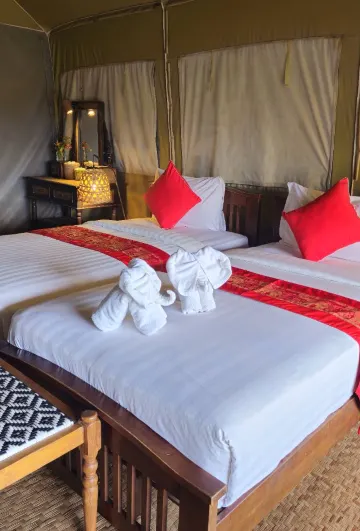 Exotic Top View Twin