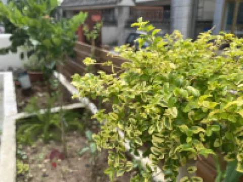 Leyisu Hostel Hotels in 