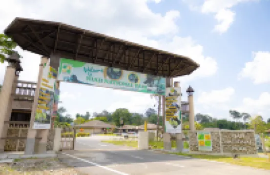 Sutera Horizon at Niah National Park