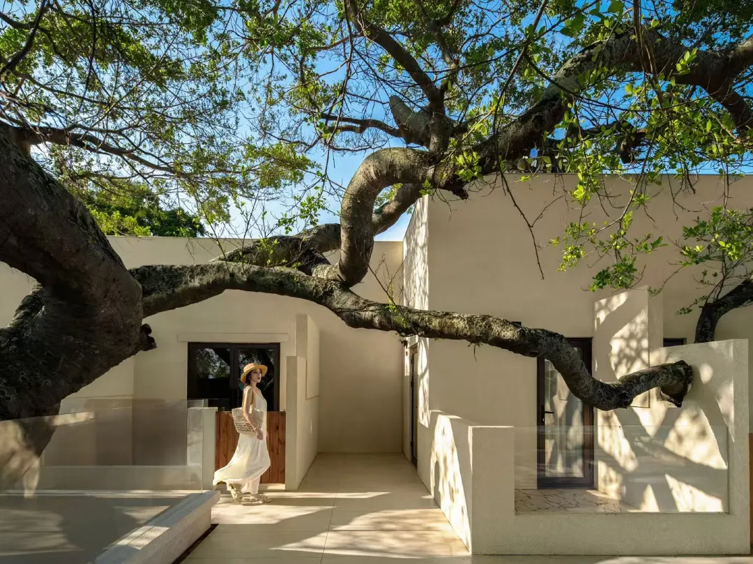 Senyu Baidiao Art Mountain View Homestay - Dali