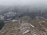雲棲夢溪雲裡·ForestPark森系祕境休閒民宿（雲和梯田景景區店） - 山景