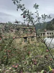 Gahui Kangxiang Homestay (Daocheng Yading Branch) - เปิดใหม่