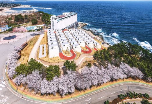 파나크 영덕 바이 소노벨