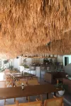 Bassa Nova Resort 노바 쉘스 박물관 주변 호텔