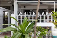 Whiteharp Beach Inn - Park Yeri