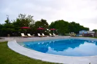 Qingdao Xinshatan Coast Holiday Hotel - 비치