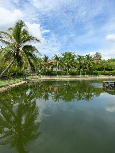 รูปภาพของเรือนนภารีสอร์ท
