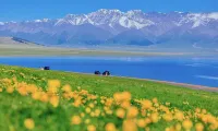 賽裏雲庭ホテル（精河沙山子バスターミナル金沙山砂漠観光リゾート景区） - マウンテンビュー