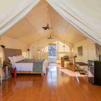 Lujing Wild Luxury Camping Hotel Rooms