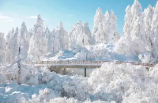 瓦屋山悅客の家