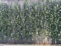 全季酒店(武漢大學街道口地鐵站店) 鄰近武漢理工大學(馬房山校區)的酒店