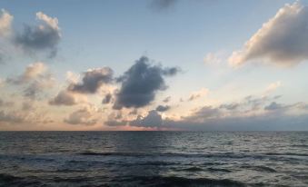 Xilin Xiaowo Homestay