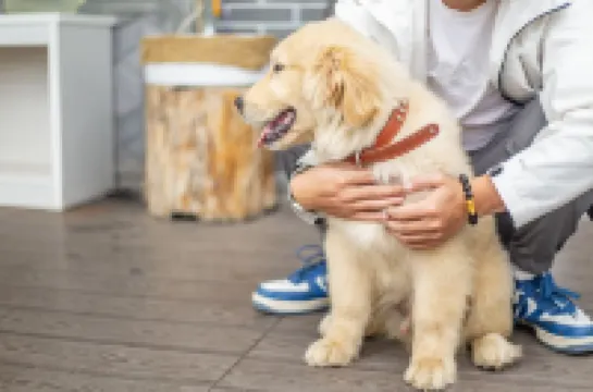 合順韓宅オーシャンビューガーデン民宿（洱海生態廊道才村港）