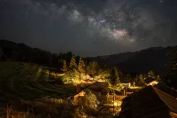 BZIKA  Wonderland Retreat (Zhangjiajie Forest Park Middle Gate)
