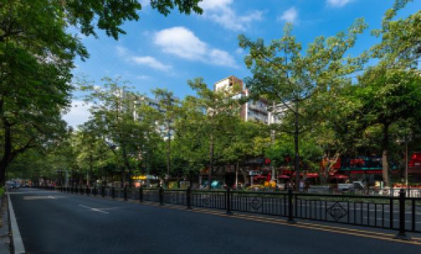 Local Hotels (Guangzhou Jiangnanxi Changgang Road Metro Station)