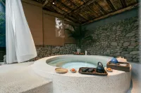 Lin Jian · Lin Jane Forest Secret Private Hot Spring Treehouse