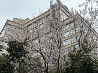 Camphora hotel NingXiang