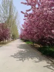 Chuipao Wellness Garden Homestay Hotels in Wuqiang