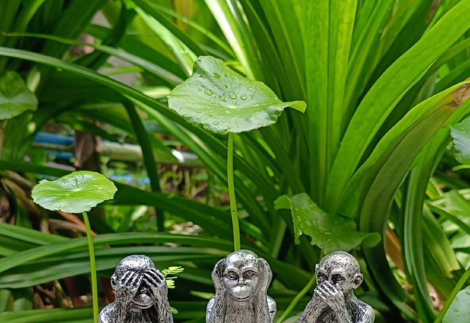 반 데브티다의 맛있어 보이는 아침 식사 사진