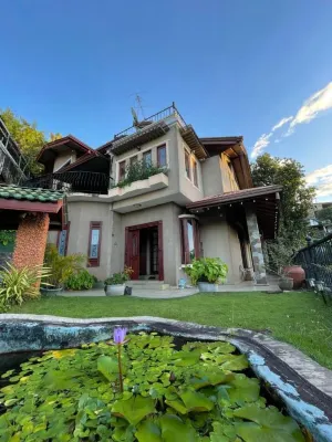 Dandelion Guest House Отели в г. 