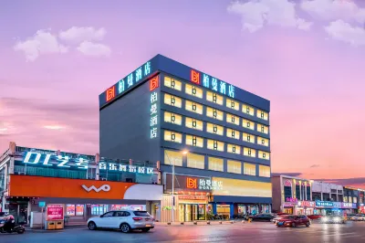 Borrman Hotel (Xinyu Station Baoshi Park) Hotels in Xinyu