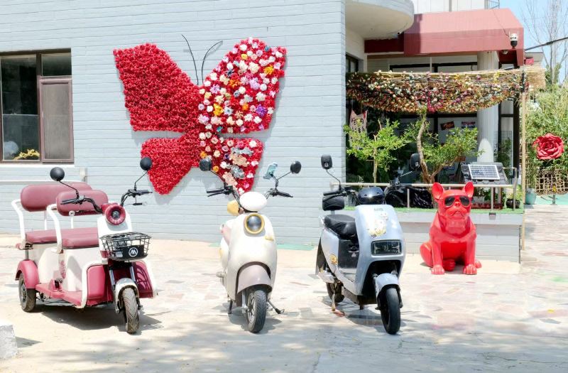 Yangma Island Wangchao Homestay photo 3
