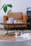 Tongzhijing Banshan Homestay Hotels in Changhai County
