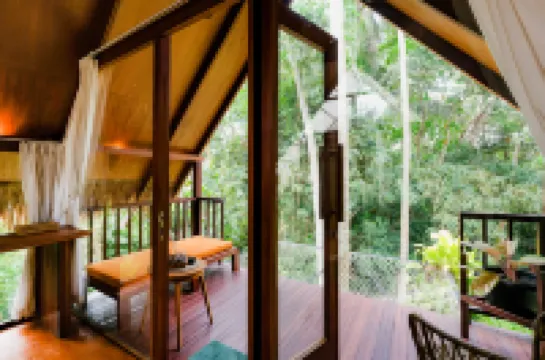 Ubud Jungle Stay by WAHM Hotel Management