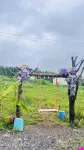 Yunpan Xingwu Homestay (Wumeng Grass Plain)