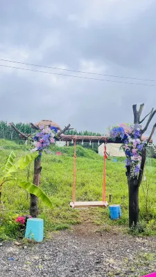 Yunpan Xingwu Homestay (Wumeng Grass Plain)