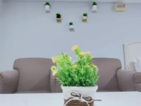 ทรีมา อินน์ บรินชาง บาย เพอร์เฟกต์ โฮสต์ โรงแรมในบรินชาง