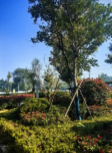 Senlan Homestay (Linyi Fei Institute of Technology)