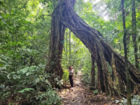 Cat Ba Hong Kong Cozy Stay Hôtels à : Cát Hải