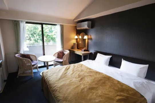 Sawa Hotel Hotels in Fujikawaguchiko