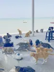 湄洲島默Holiday Villa・270°海景日出・滿庭芳民宿（蓮池澳沙灘店）