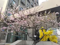 Zibo Liaozhai Hotel(near Badajv Market &Wanxianghui)