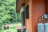 The Woods Villa Alps-Azumino - Mountain view