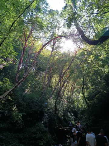 Guyuan Yayu Apartment