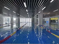 Jinyan'an Beishan Jiusi Homestay - Pools