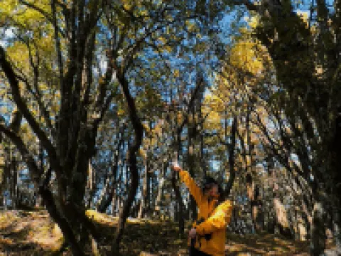 蘭坪ペー族プミ族自治県墅家吾鄉羅古箐徒步民宿 蘭坪ペー族プミ族自治県のホテル