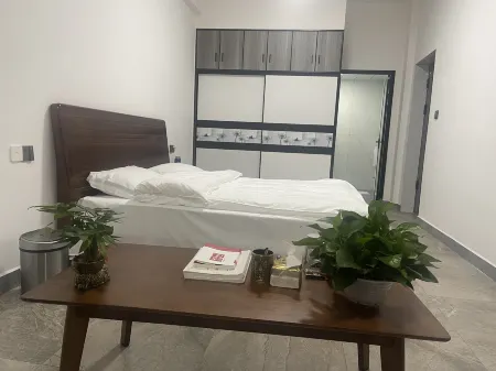 Apartment One Отели в г. Сянсян